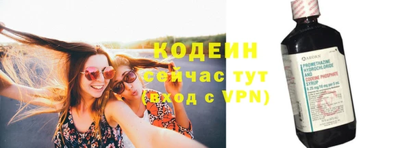молекула духа Бородино