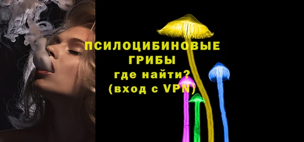 прущие крисы Переславль-Залесский