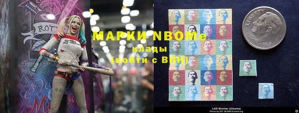 гашик Пересвет