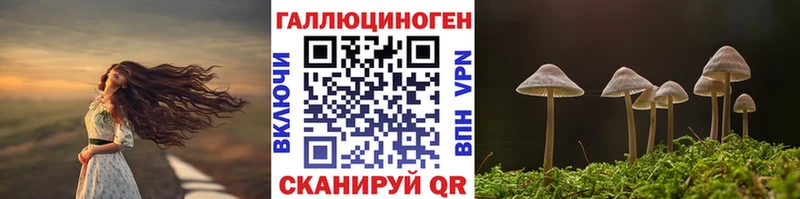 Псилоцибиновые грибы Cubensis  Павловская 